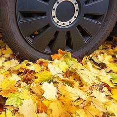Herbst in Ismaning