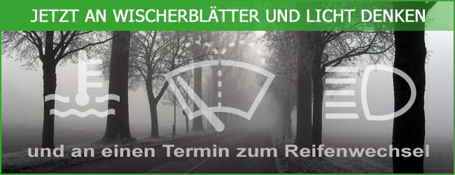 Wischerblätter und Licht